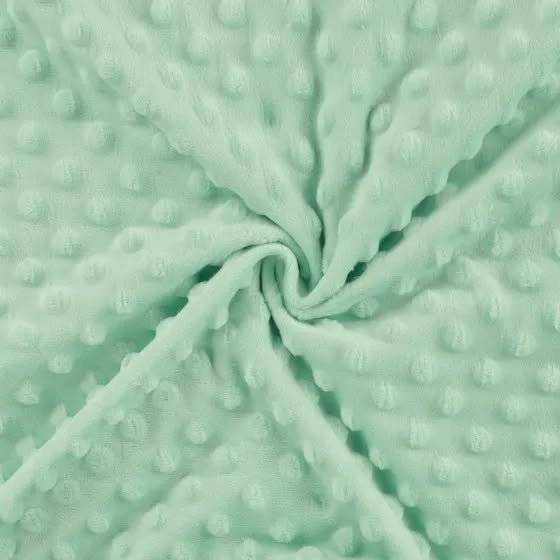 Plus Minky Mint